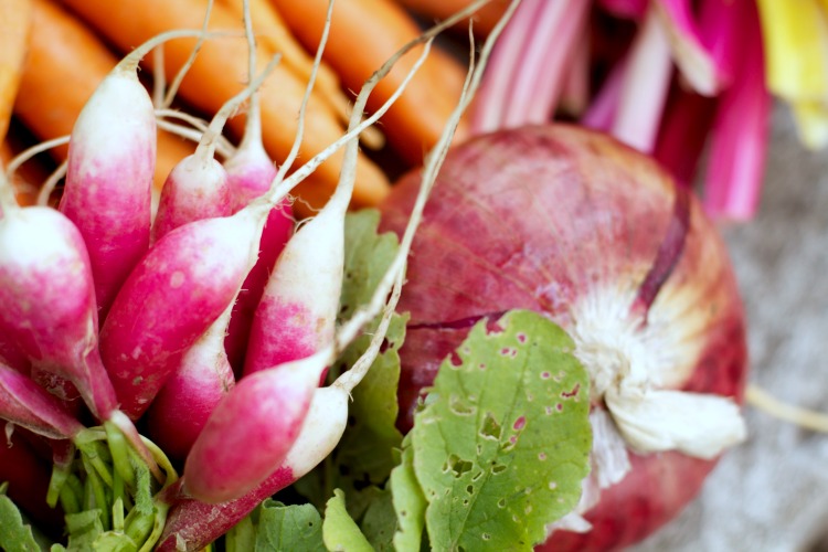 radish - onion - carrot