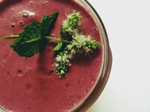 BlackberryMint-web