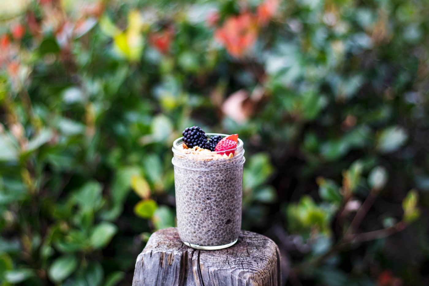 chia seed pudding
