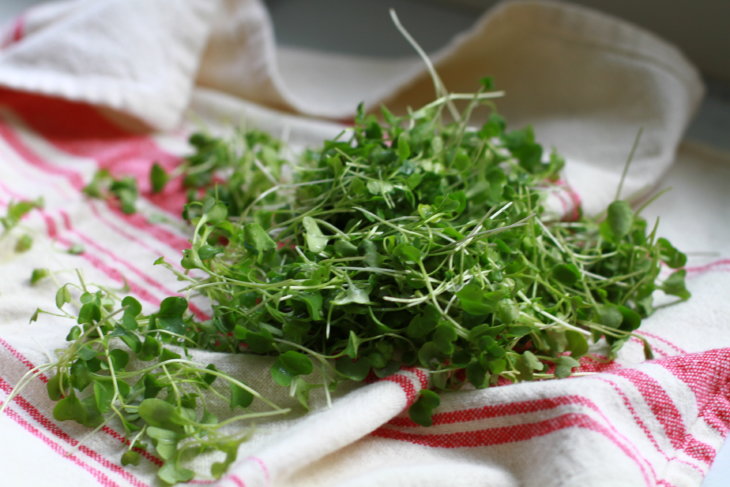 broccoli sprouts towel