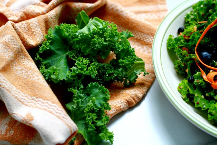 kale and quinoa salad with blueberries and walnuts recipe