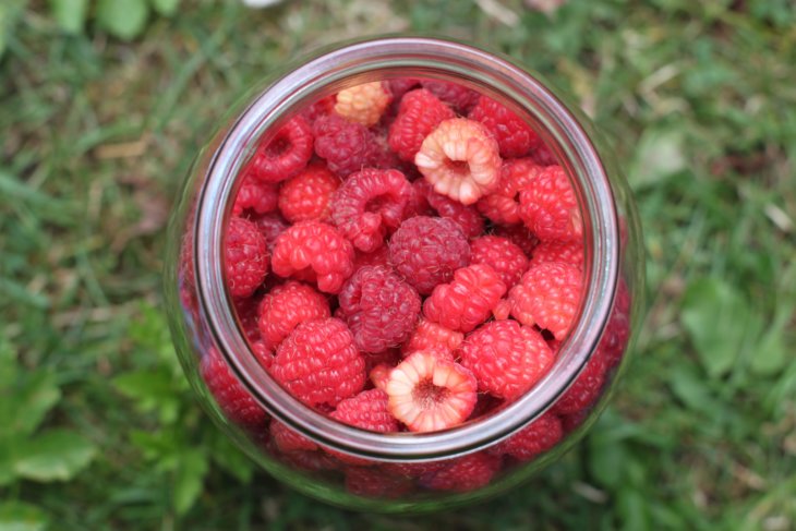 Anti-Aging Raspberry Super Smoothie - Monica Spoelstra Metz
